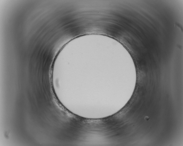 X0000102520856200808081028