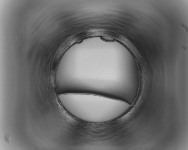 X0000102520857200808081028