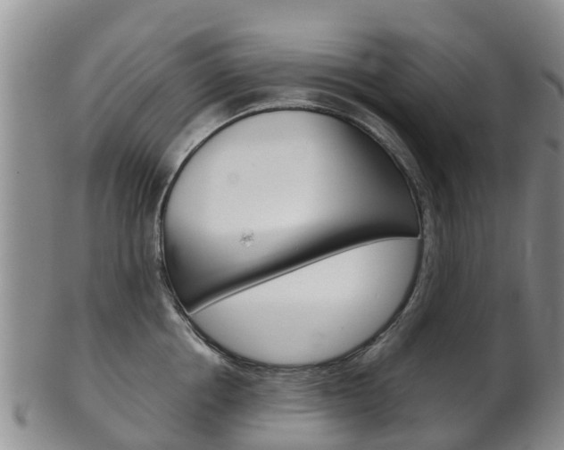 X0000102520858200808081028