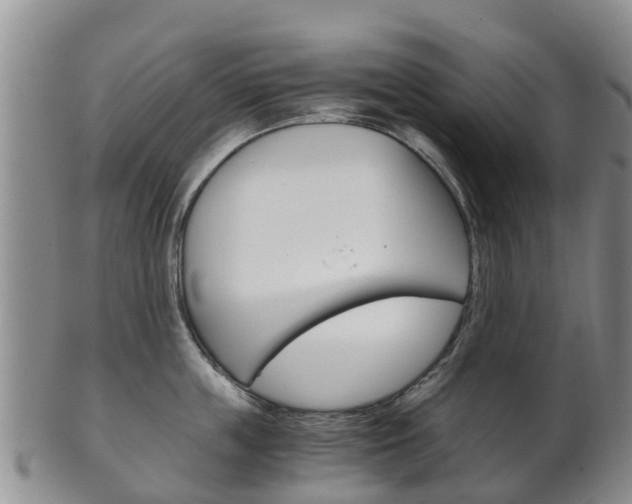 X0000102520859200808081028