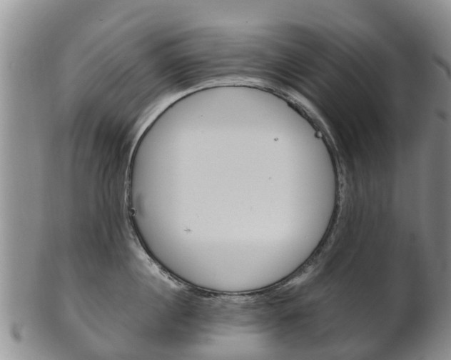 X0000102520860200808081028