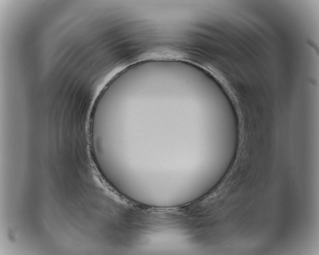 X0000102520864200808081028