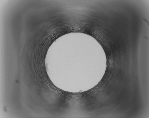 X0000102520865200808081027