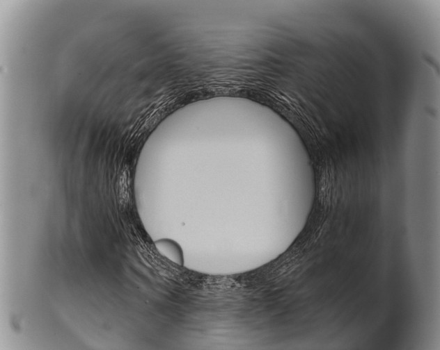X0000102520866200808081027