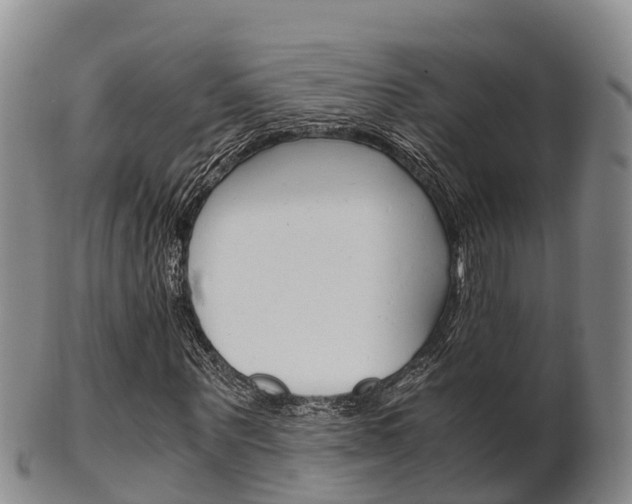 X0000102520867200808081027