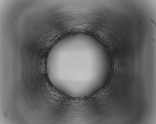 X0000102520868200808081027