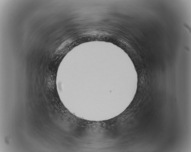 X0000102520869200808081027