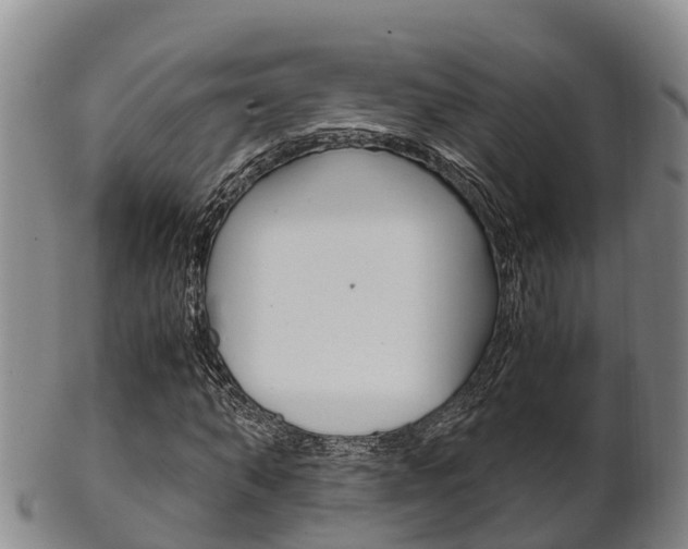 X0000102520870200808081027
