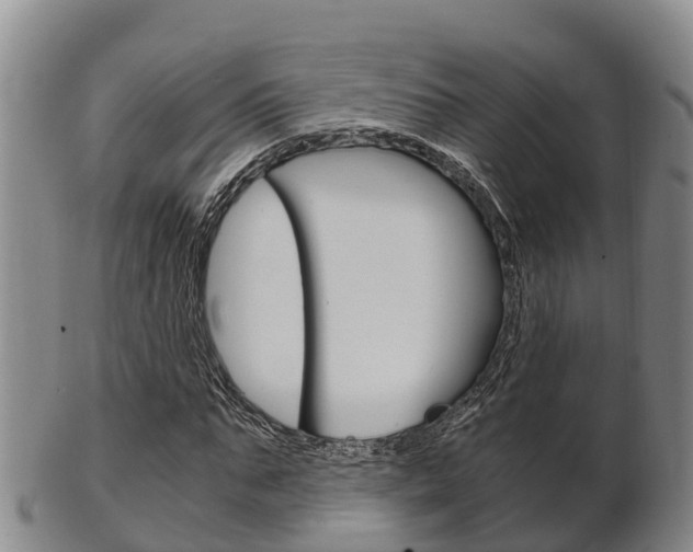 X0000102520871200808081027