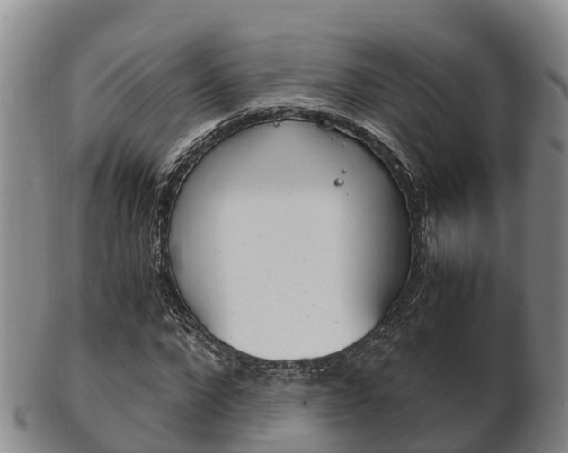 X0000102520872200808081027