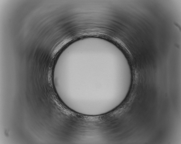 X0000102520874200808081027