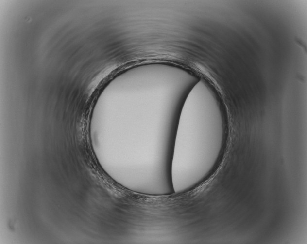 X0000102520875200808081027