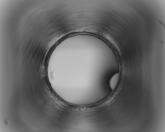 X0000102520876200808081027