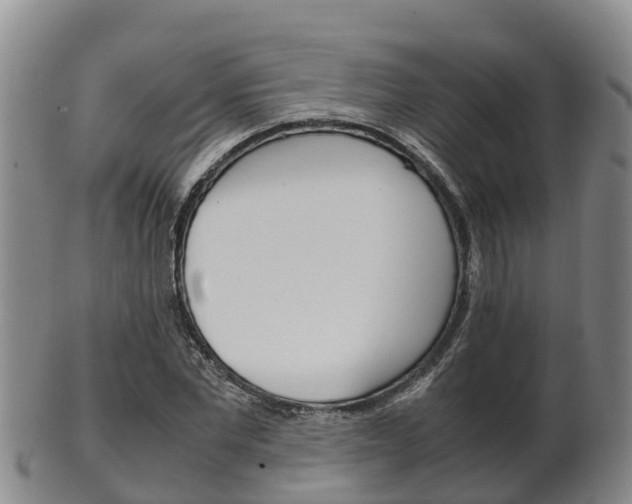 X0000102520877200808081027