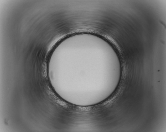 X0000102520878200808081027