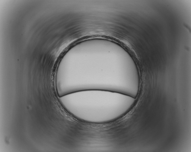 X0000102520879200808081027
