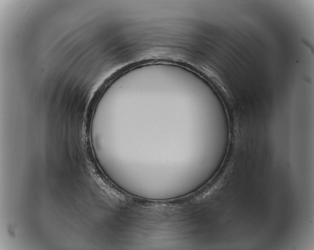 X0000102520880200808081027