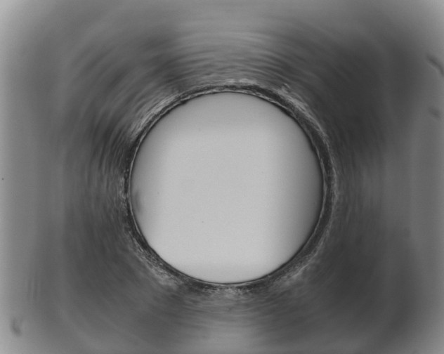 X0000102520881200808081027