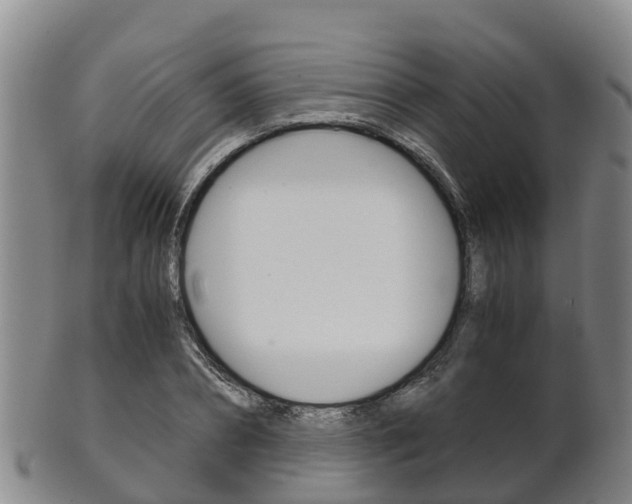 X0000102520882200808081027
