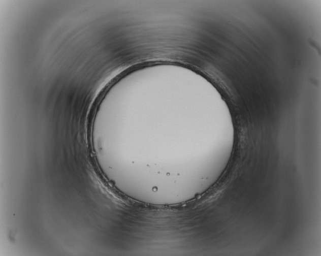 X0000102520884200808081027