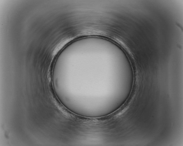 X0000102520885200808081027