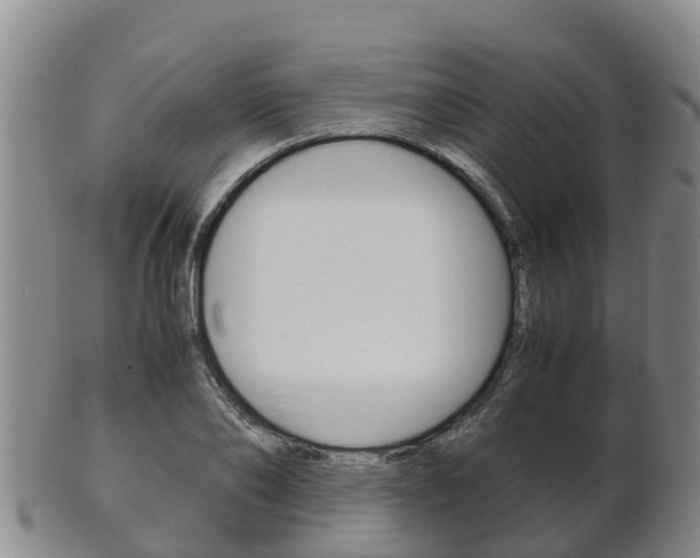 X0000102520886200808081027