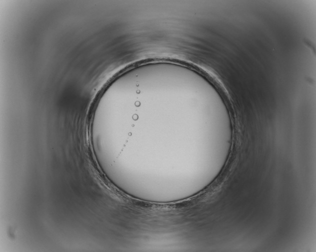 X0000102520887200808081027
