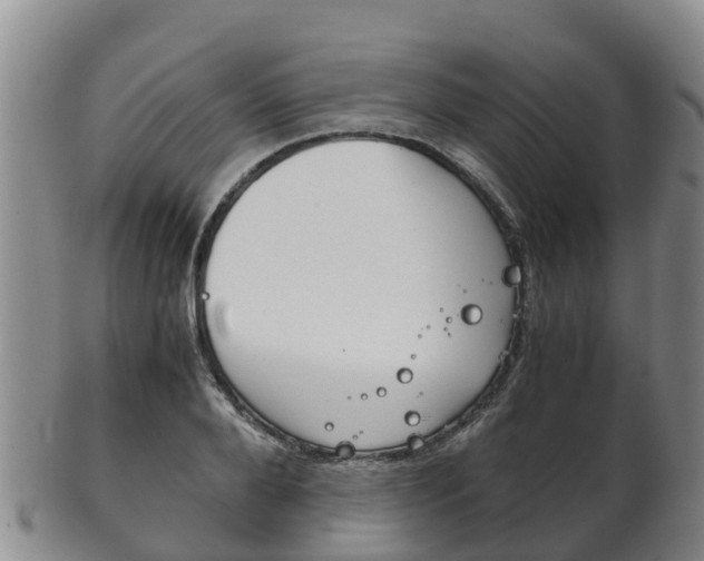 X0000102520888200808081027