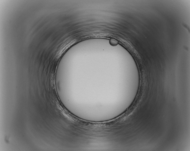 X0000102520889200808081027