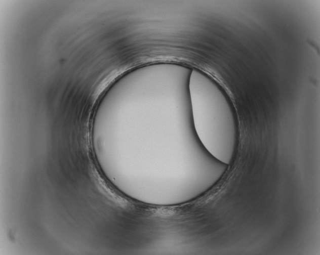X0000102520890200808081027