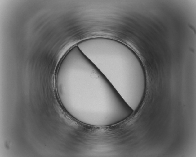 X0000102520891200808081027