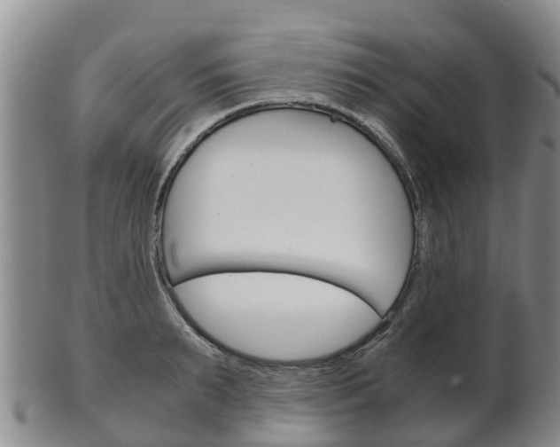 X0000102520895200808081027