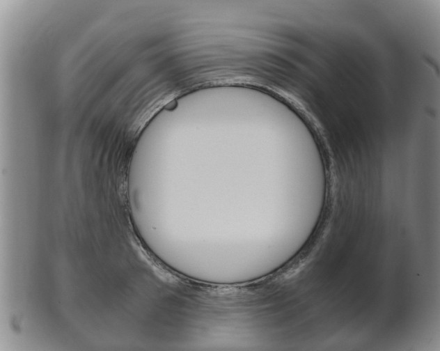 X0000102520897200808081027