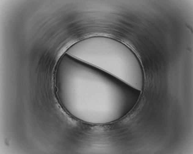 X0000102520898200808081027