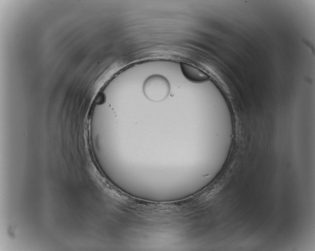 X0000102520899200808081027
