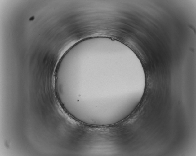 X0000102520900200808081027