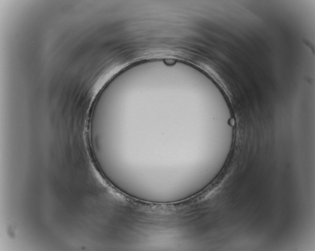 X0000102520901200808081027