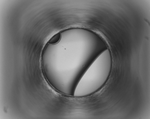 X0000102520902200808081027