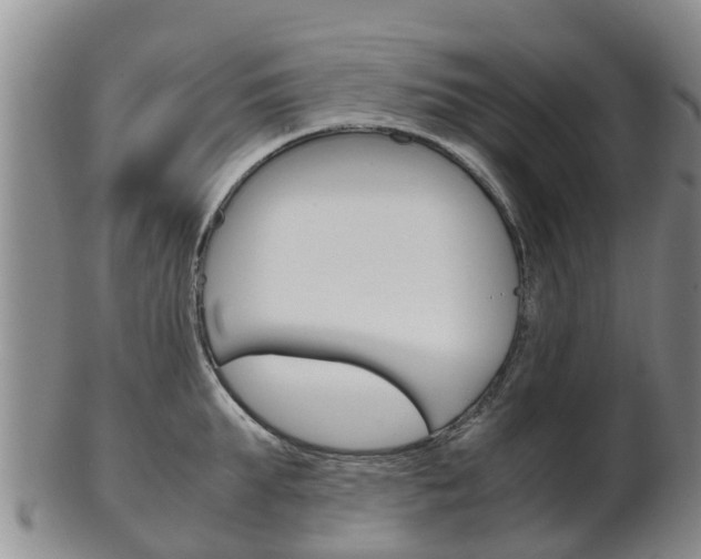 X0000102520903200808081027