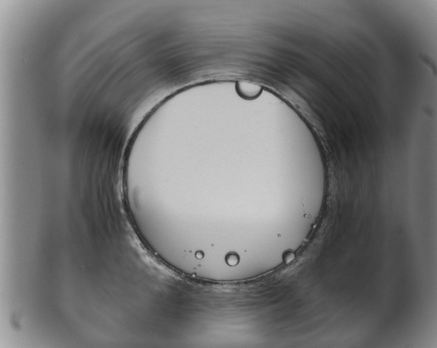 X0000102520904200808081027