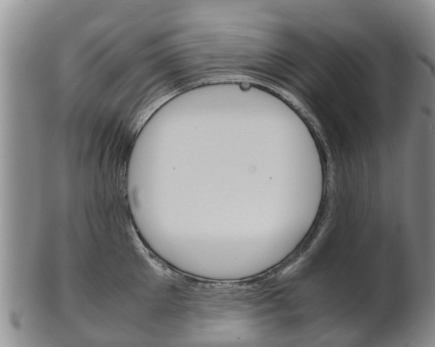 X0000102520905200808081027