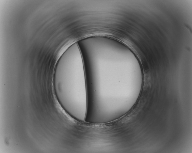 X0000102520906200808081027