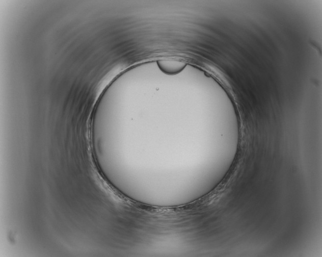 X0000102520907200808081027