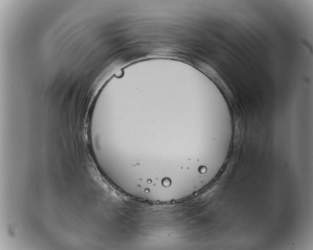 X0000102520908200808081027