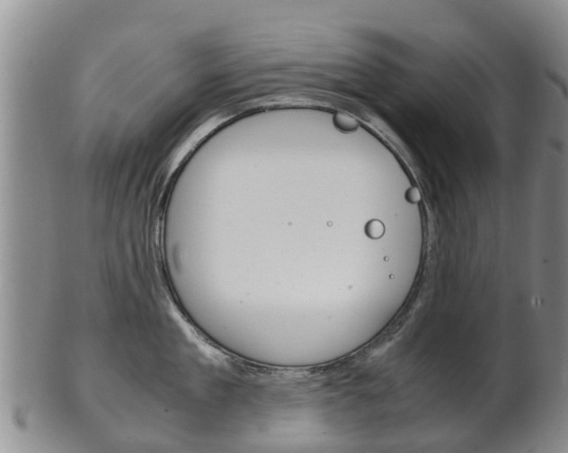 X0000102520909200808081027