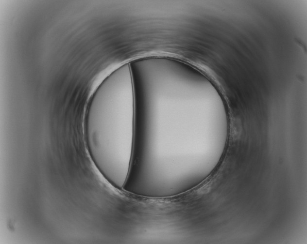 X0000102520910200808081027