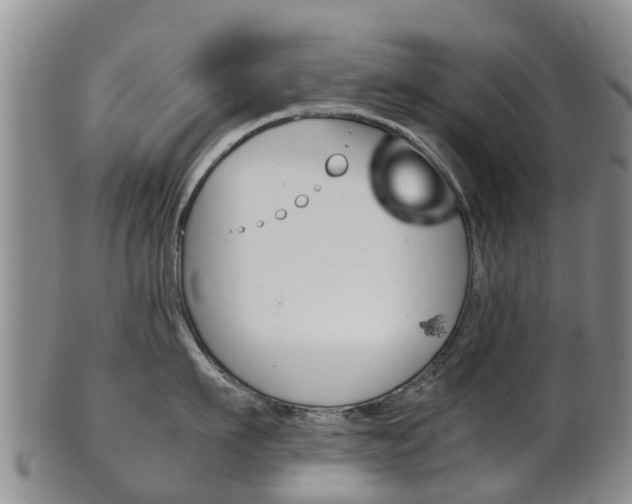 X0000102520911200808081027