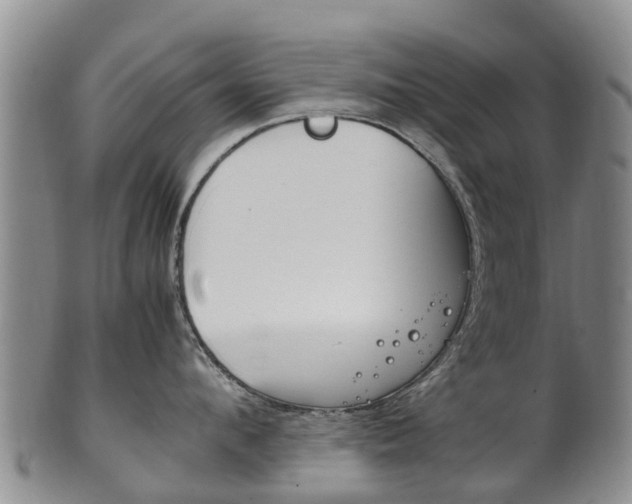 X0000102520912200808081027