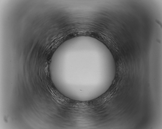 X0000102520914200808081026