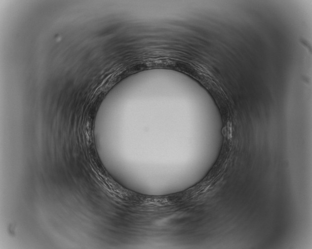 X0000102520915200808081026